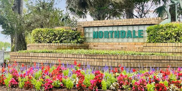 Professional tree services in Northdale, FL, by H&M Tree Service, expert trimming and removal.