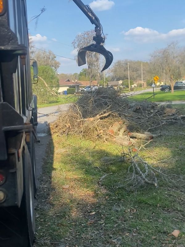 H&M Tree Service using a grapple truck in Tampa, FL, for efficient tree debris removal and hauling.