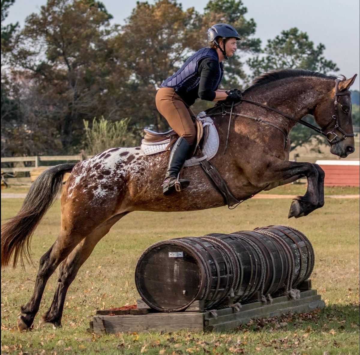 FDAS Zoe jumping (December 2017)