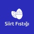 siirtfistigi.shop