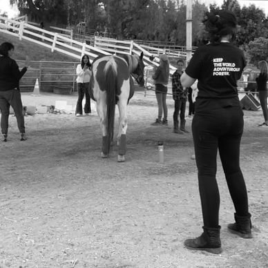 People interacting with a horse at an outdoor ranch.