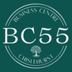 BC55 Ltd