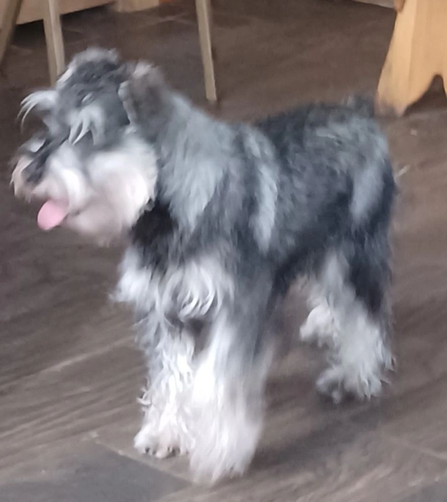 Royce last of the liter.