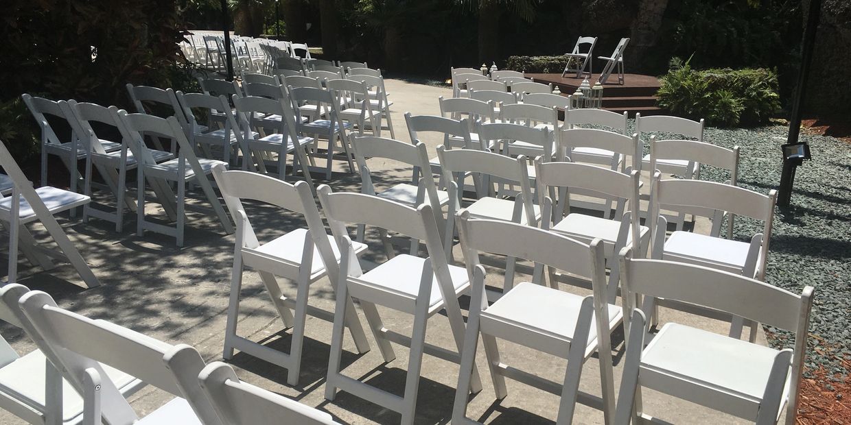 Padded chairs wedding chairs for rent