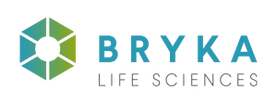 Bryka Consulting