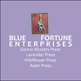 Blue Fortune Enterprises