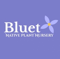 Bluet Native Nursery