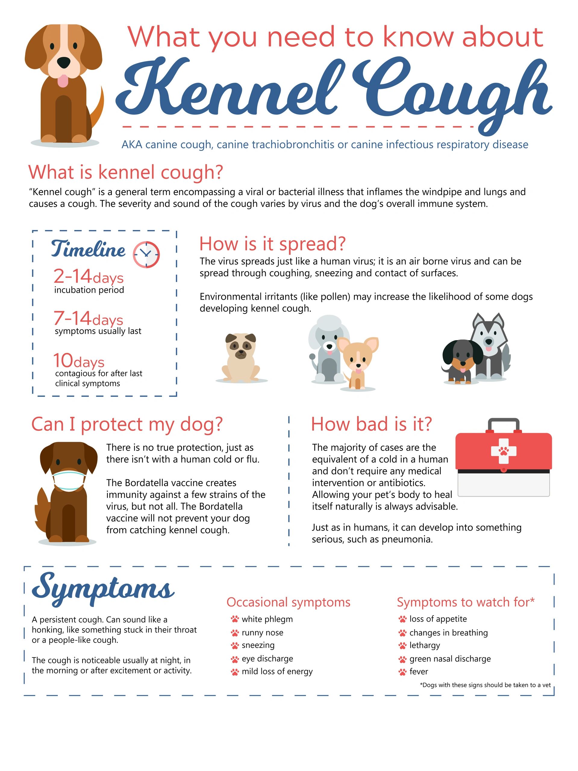 The TRUTH Behind Kennel Cough