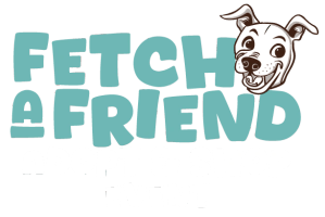 Fetch a Friend