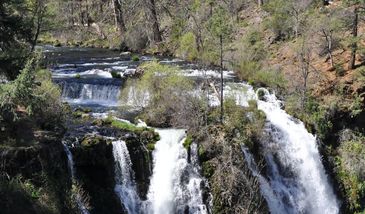 McArthur ~ Burney Falls Park is located in the foothills of the Cascades and Modoc Plateau between s