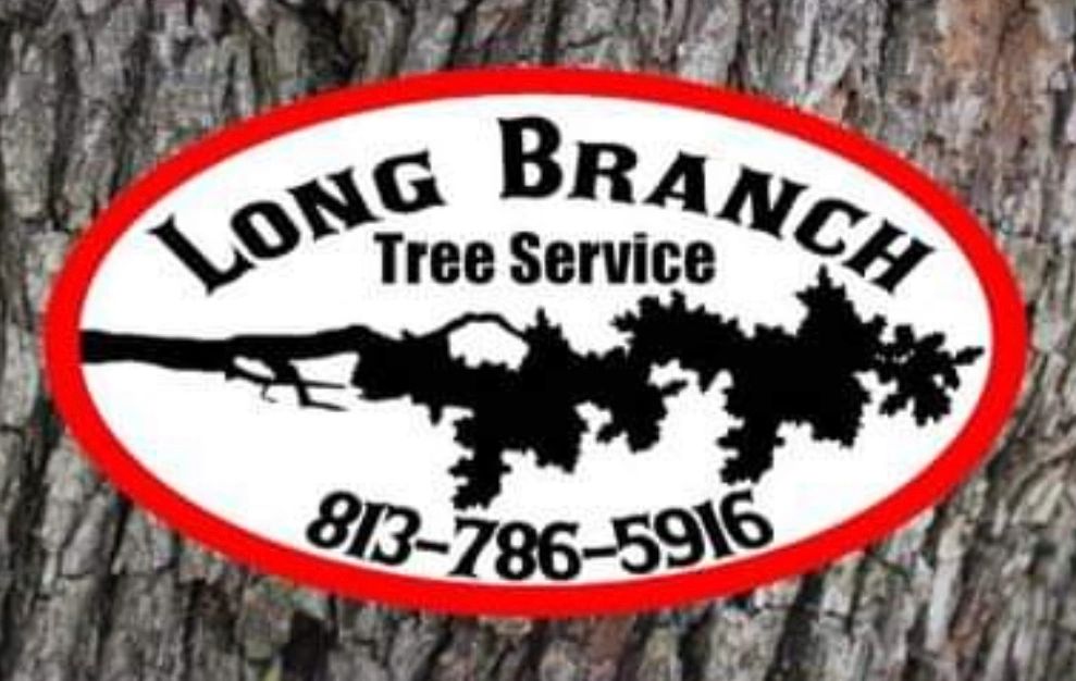 Long Branch Tree Service Tree, Oak Tree, Tree Services, Removals