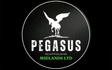Pegasus scaffolding midlands ltd 