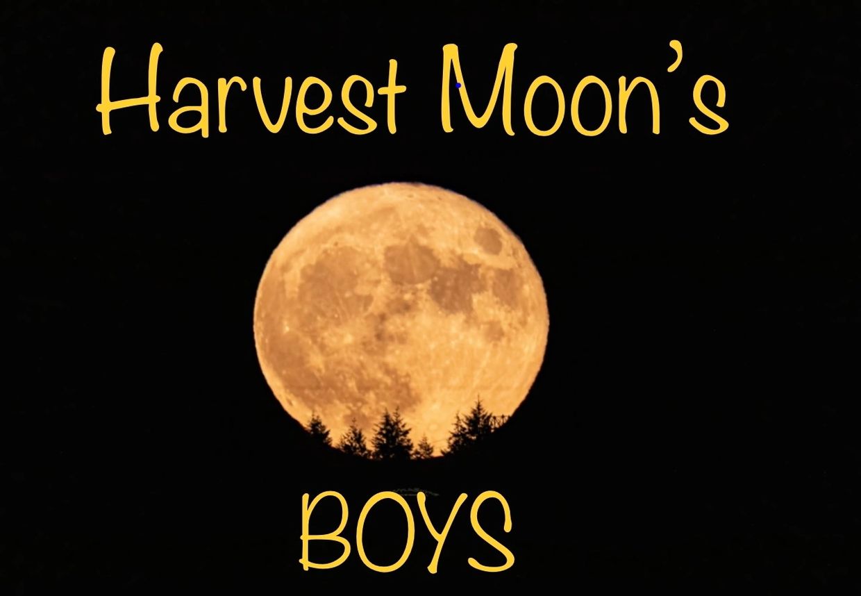 Logo for harvest moon boys