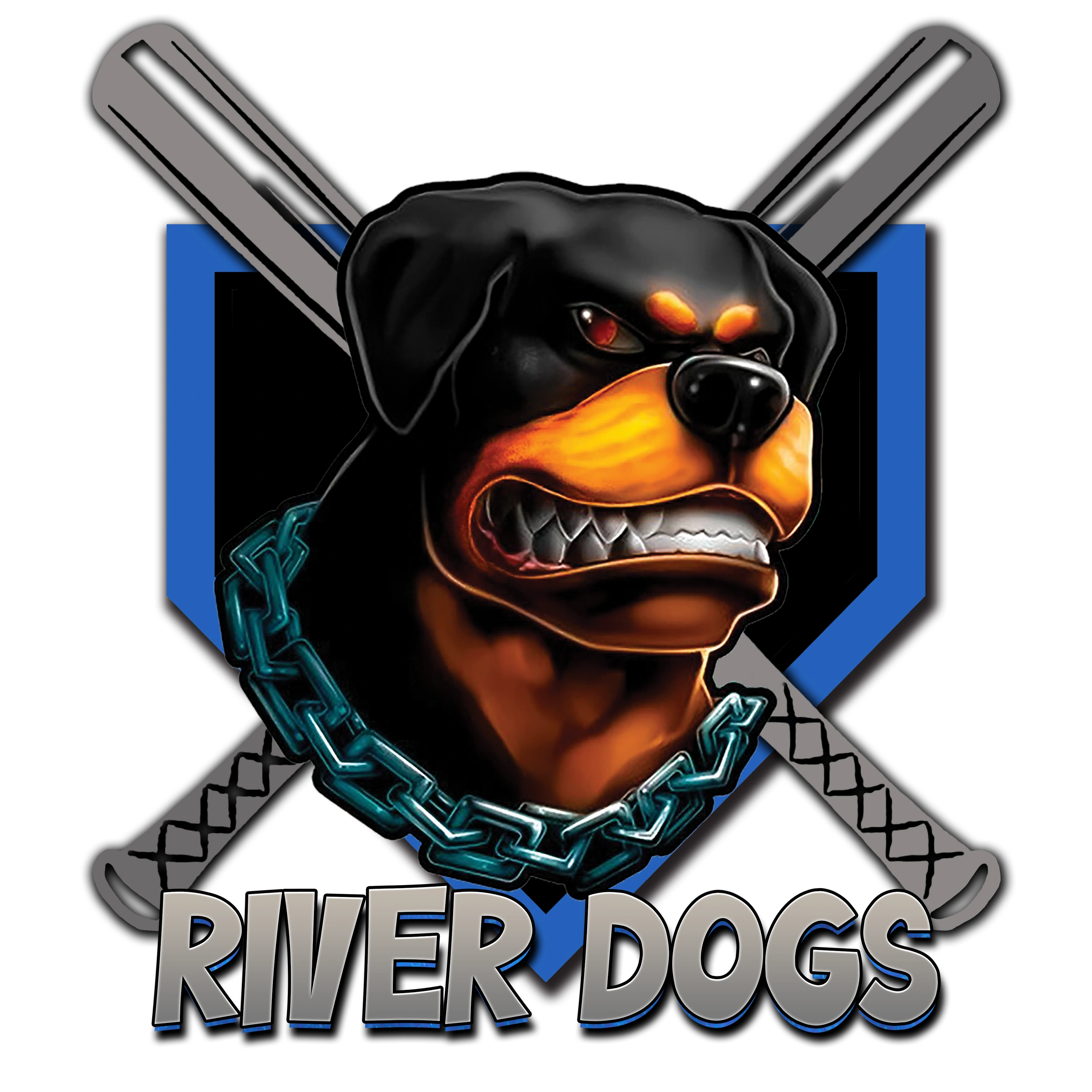 river dogs travel baseball