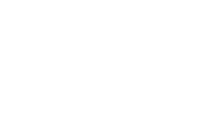 JENNIFER WILLIS PHOTOGRAPHY