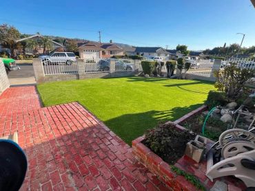 A sunny suburban front yard with green grass and brick pathways.