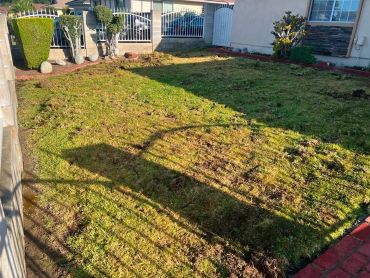 Sunlit backyard with patchy grass and trimmed bushes.