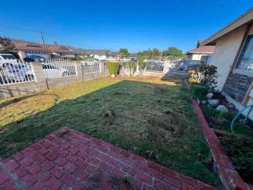 Sunlit backyard with grass and brick patio.