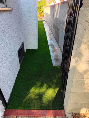 Narrow outdoor pathway with artificial grass between two walls.