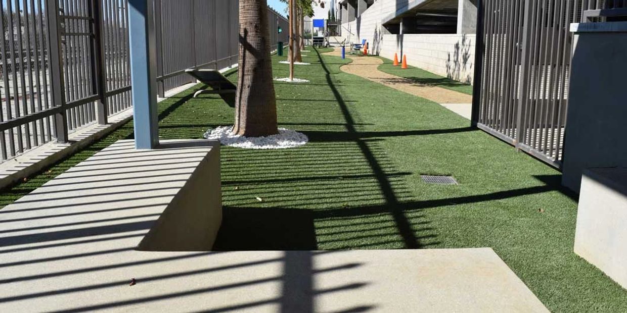 Outdoor area with artificial turf, palm trees, and shadows of metal fences.