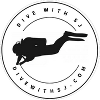 Dive with SJ