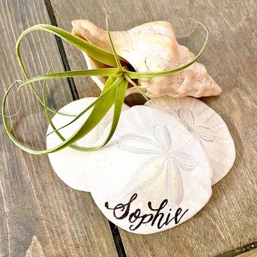Calligraphy in San Diego featuring a Sand Dollar Place Card, black ink and faux calligraphy