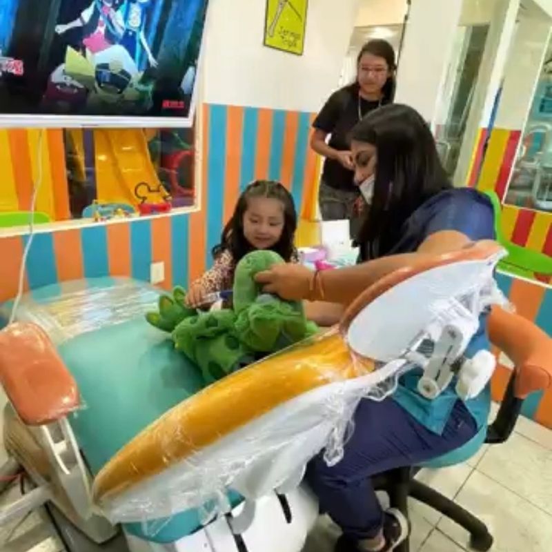 Revisión con cámara intraoral