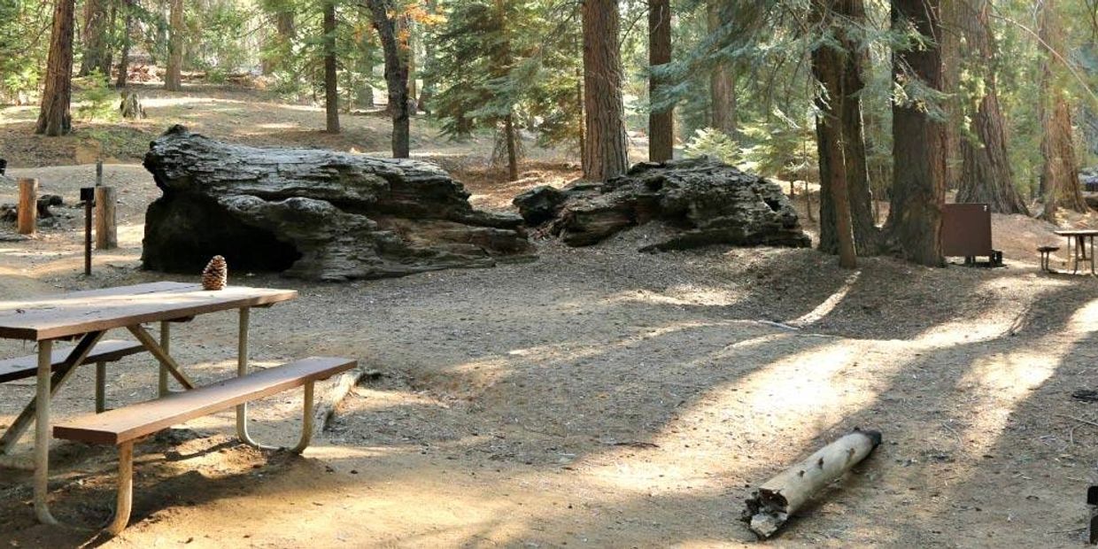 CAMPING AT SEQUOIA NATIONAL PARK