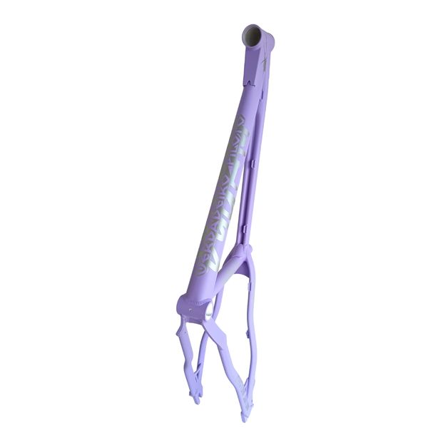 Purple BMX bike frame with silver branding and star detail.