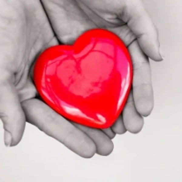Hands gently holding a shiny red heart symbol.