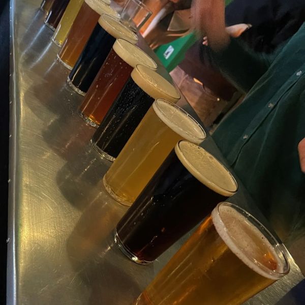 A variety of beers lined up on a metallic table at a bar.