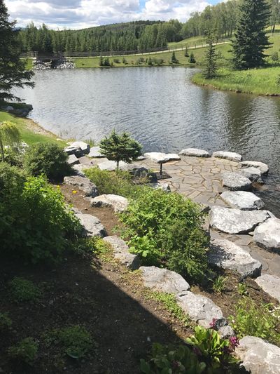 rock garden; shrubs; beds