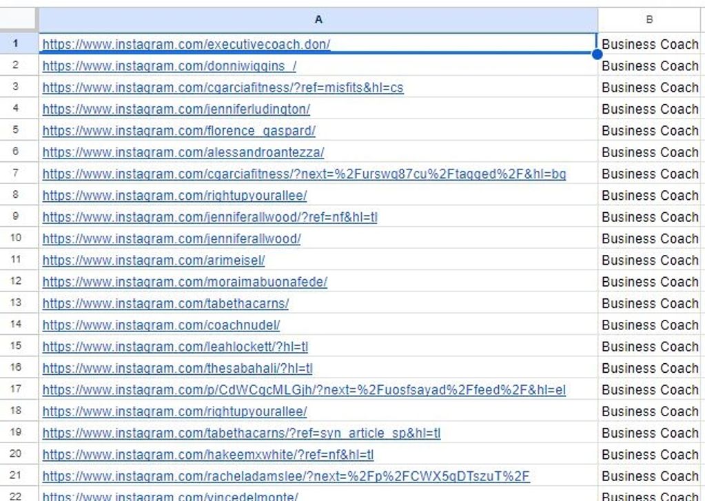 Business Coach with URL
