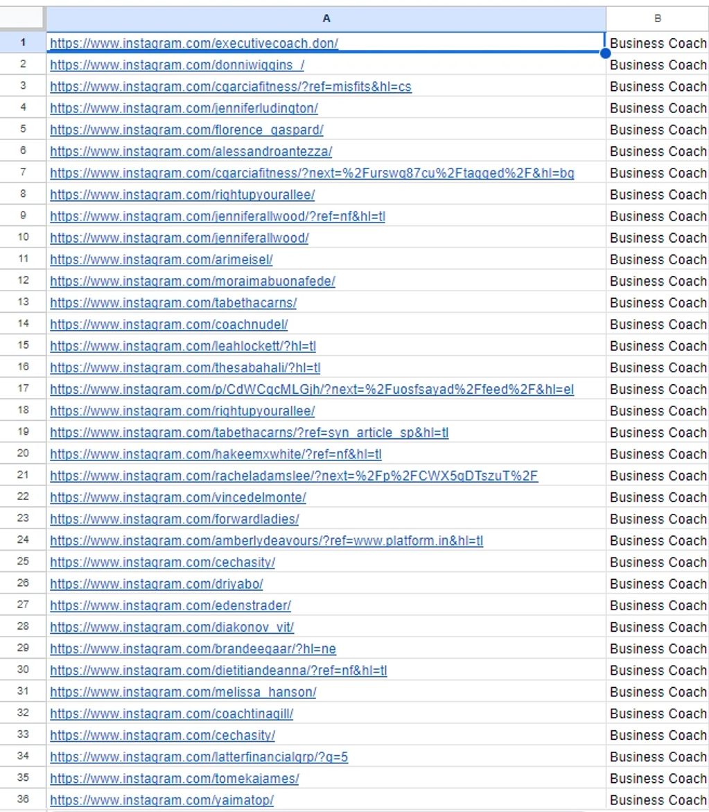 Find business coaches in the US using an Instagram platform.