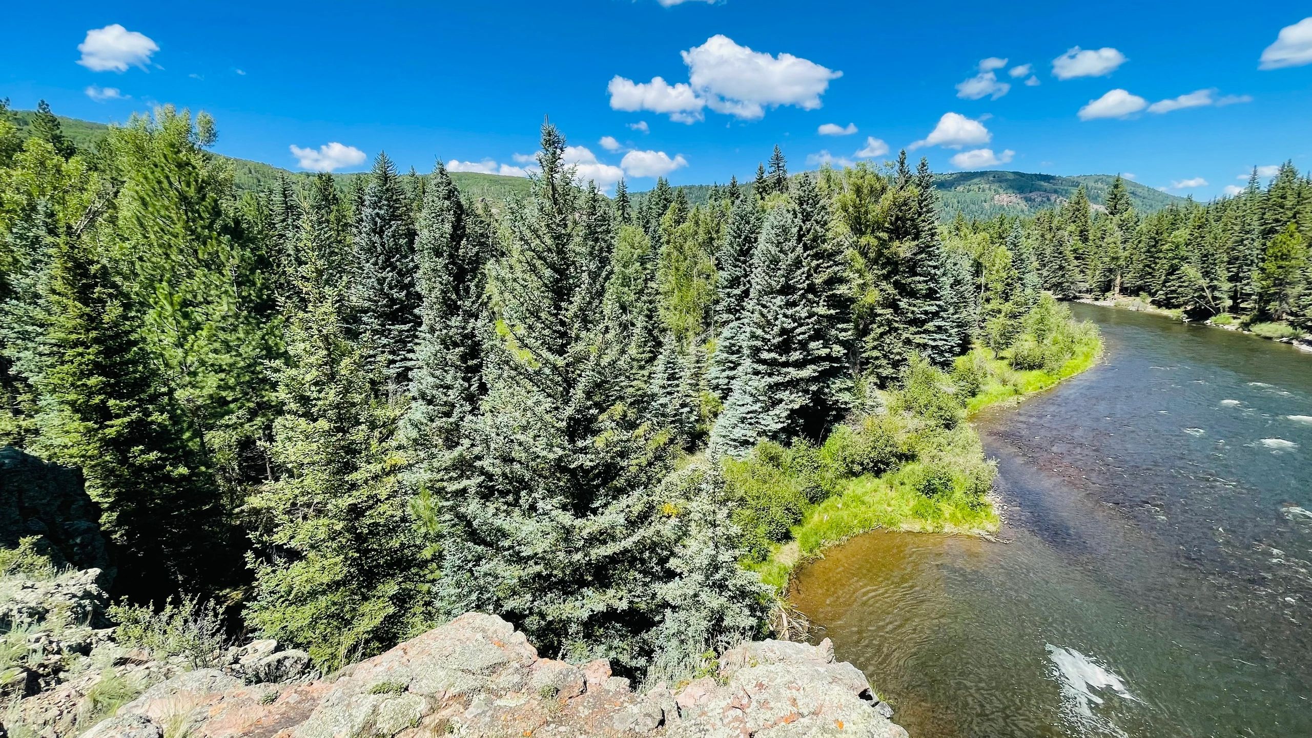 Cool Sunshine Realty