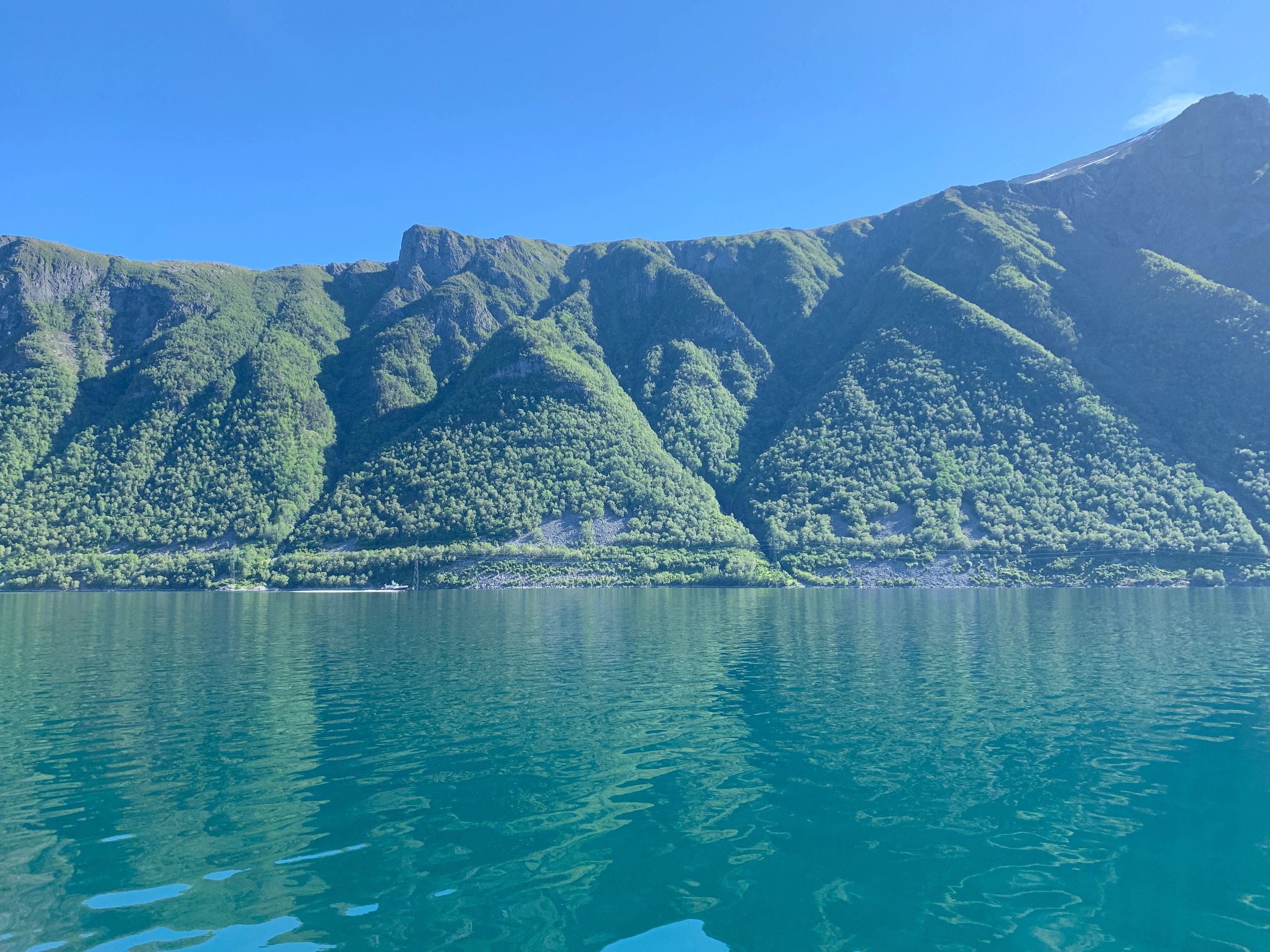 Norwegian fjord scene