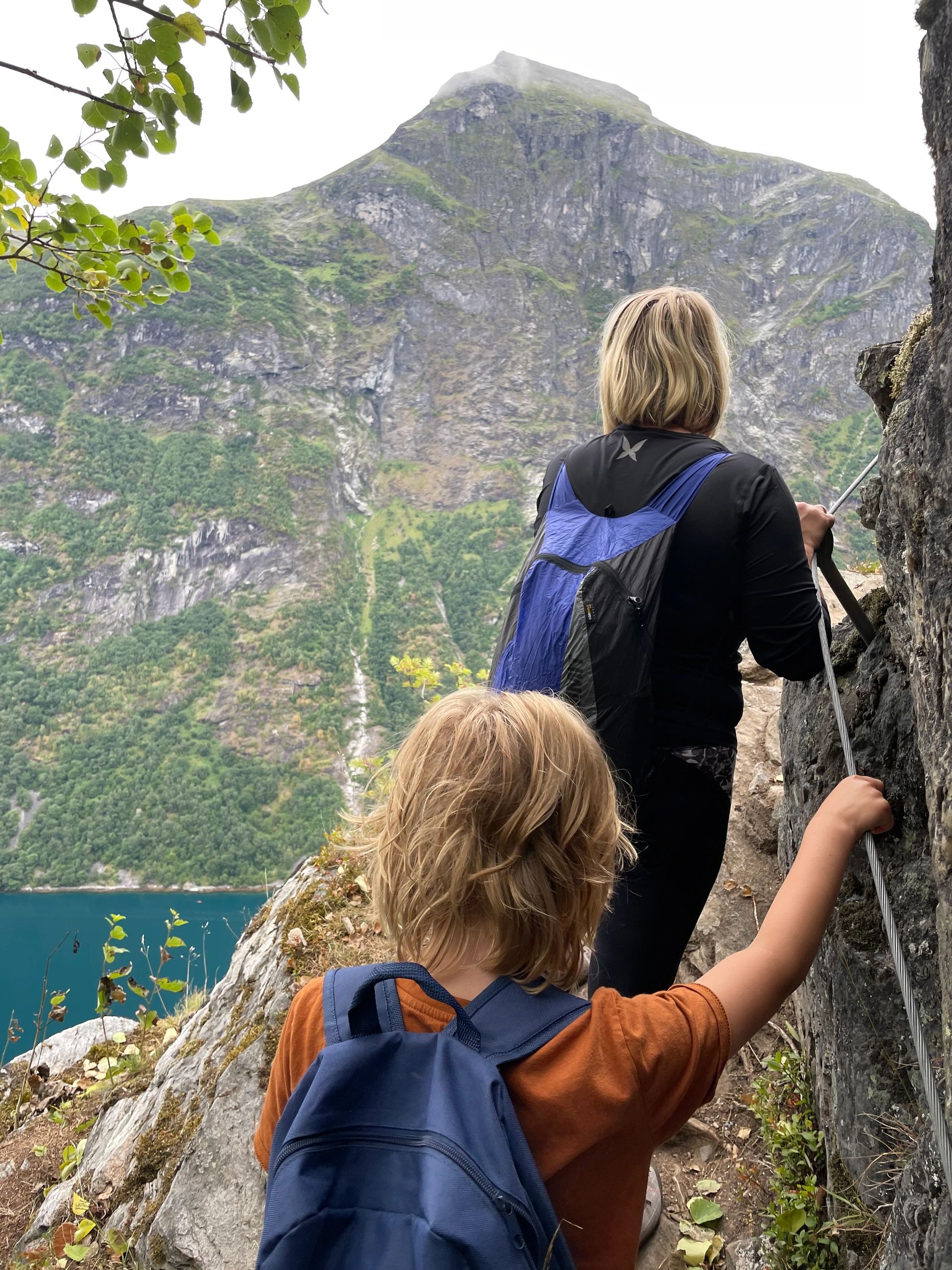 Norwegian fjord scene