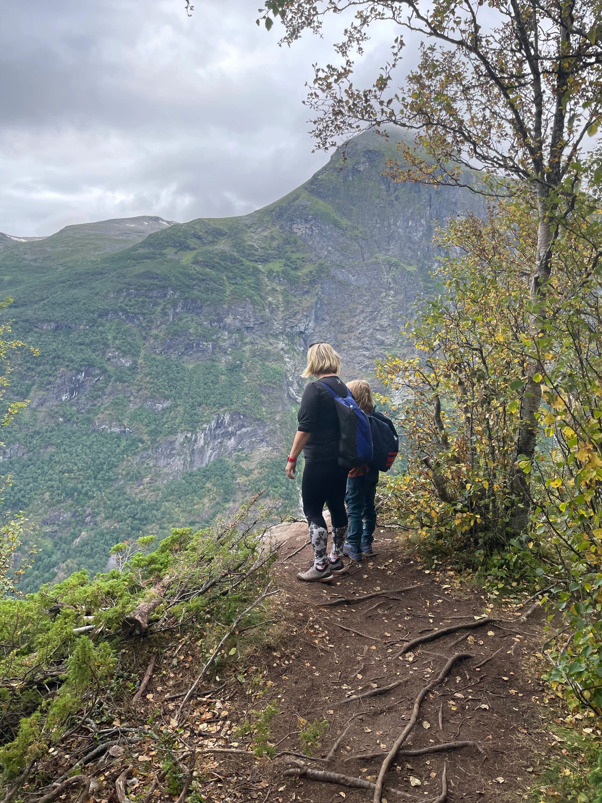 Norwegian fjord scene