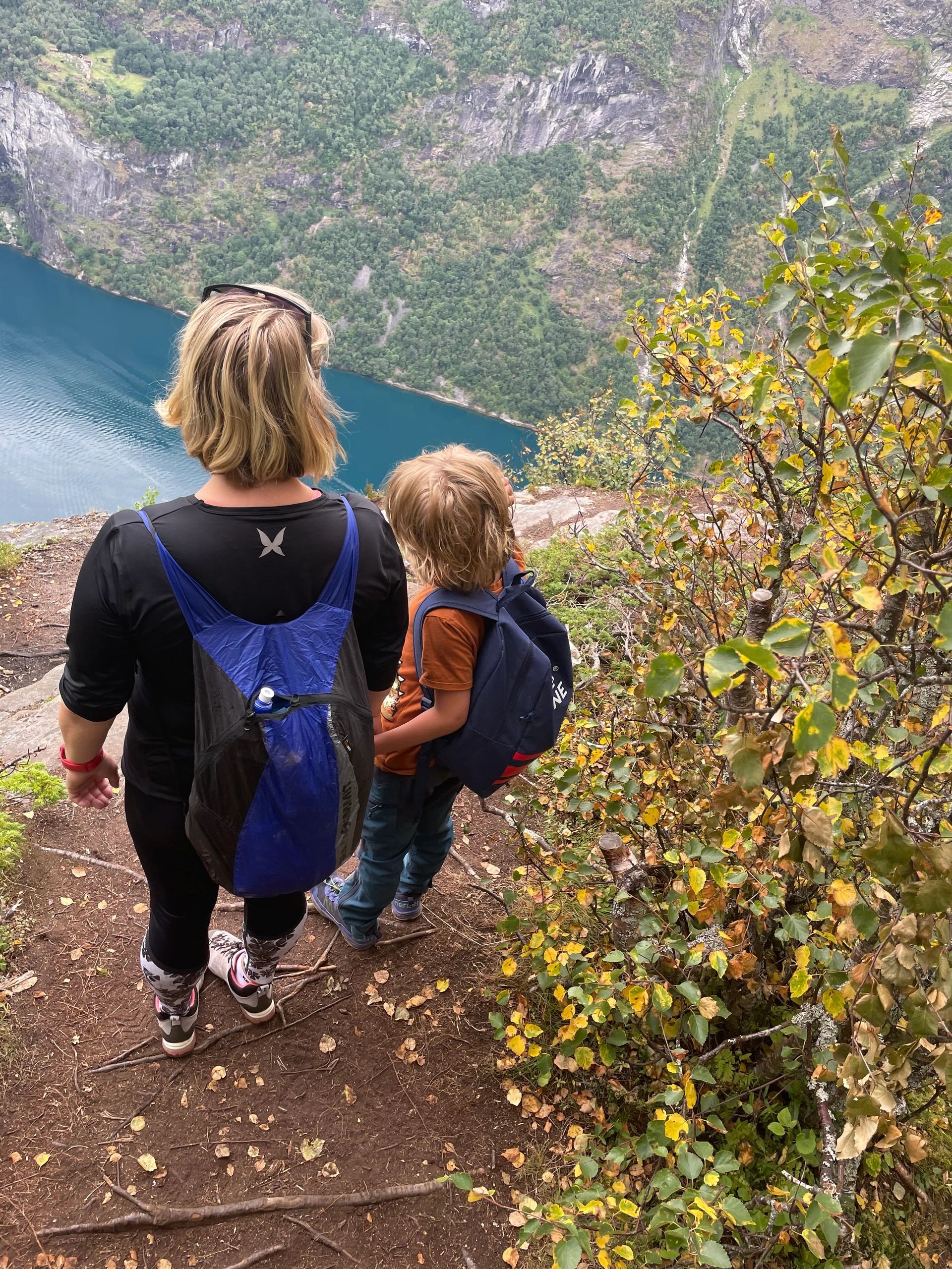 Norwegian fjord scene