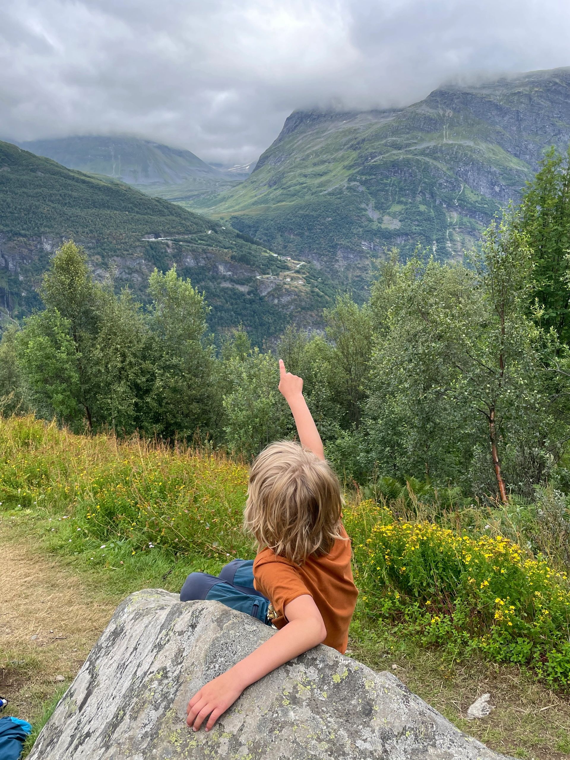 Norwegian fjord scene