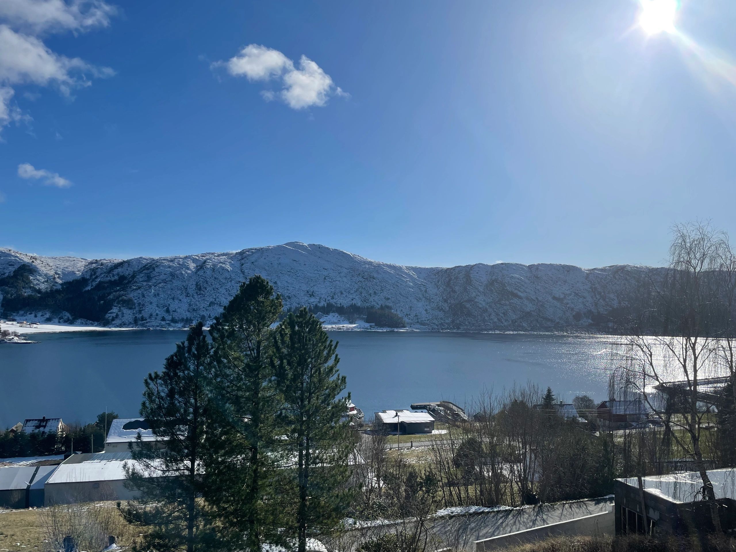 Norwegian fjord scene