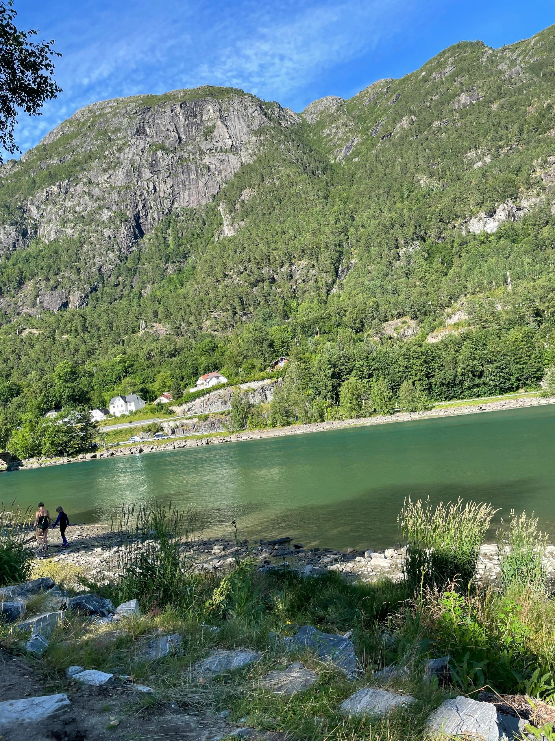 Norwegian fjord landscape