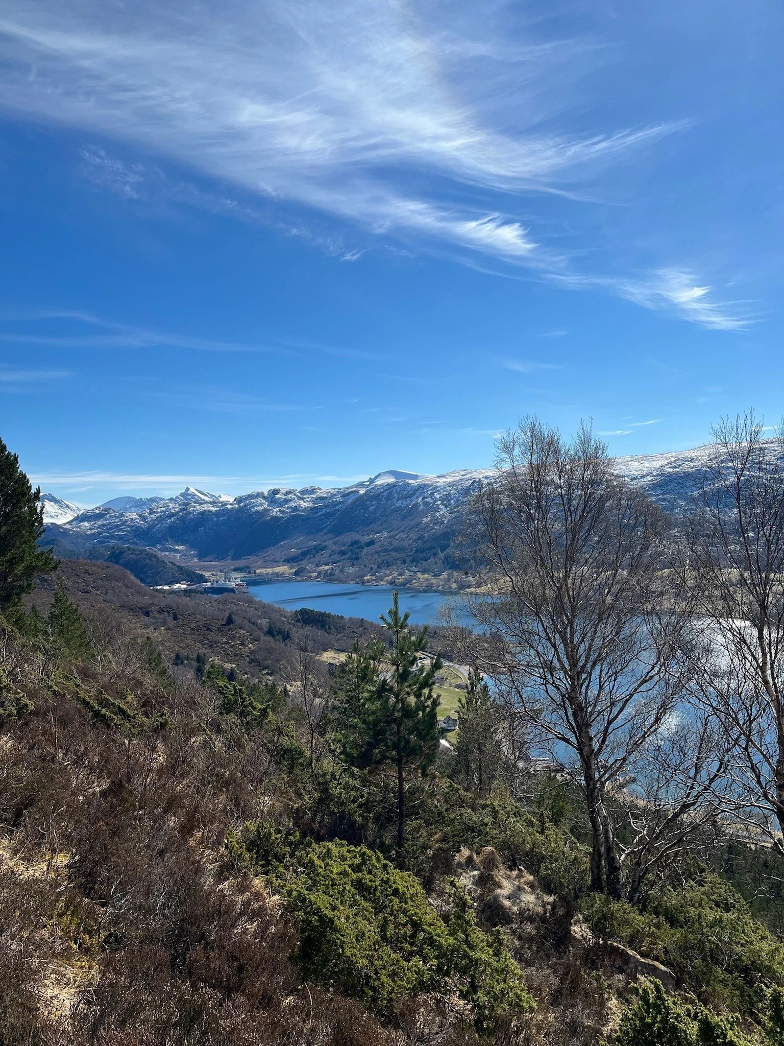 Norwegian fjord scene