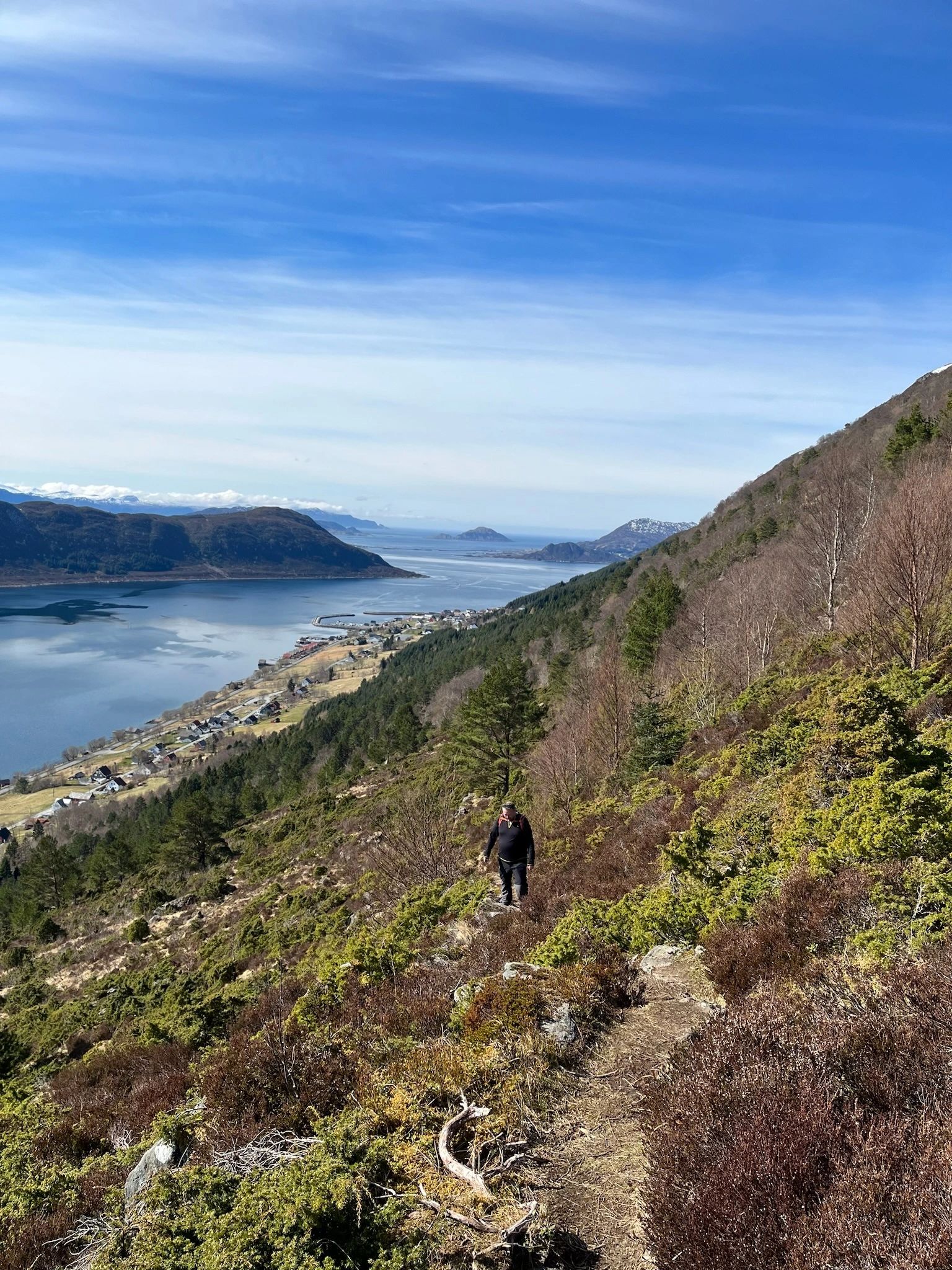 Norwegian fjord scene