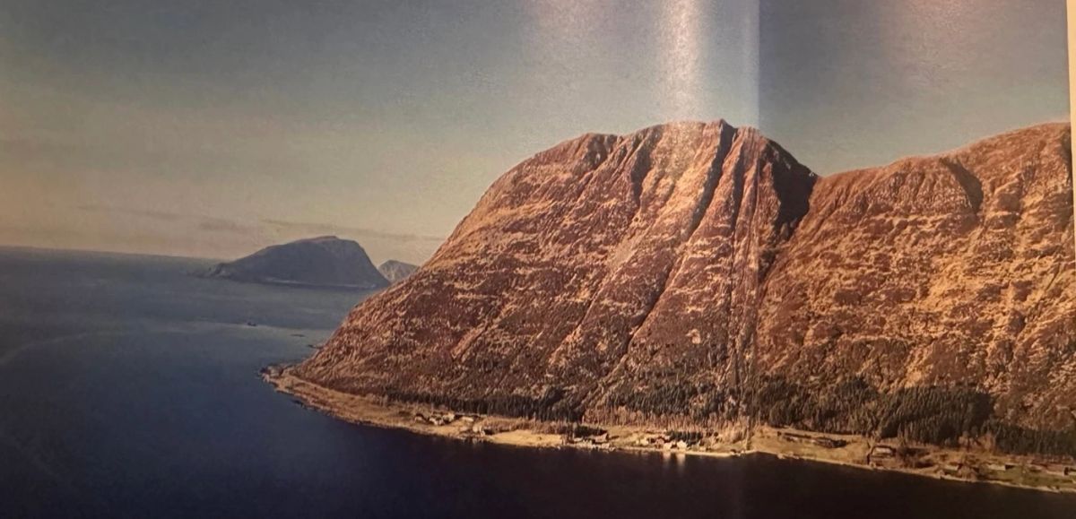 Local area near the fjord apartment
