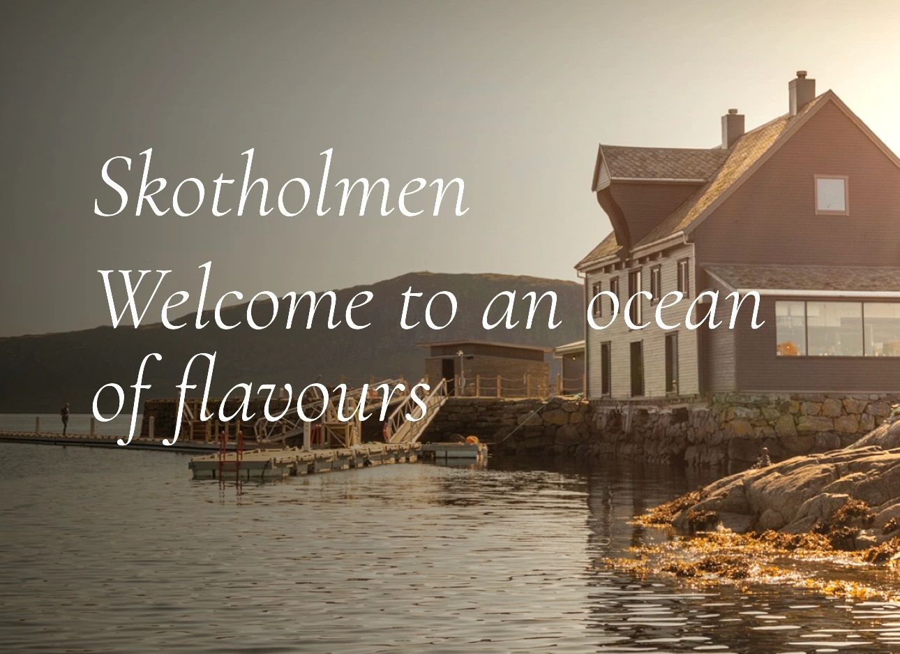 Norwegian fjord scene