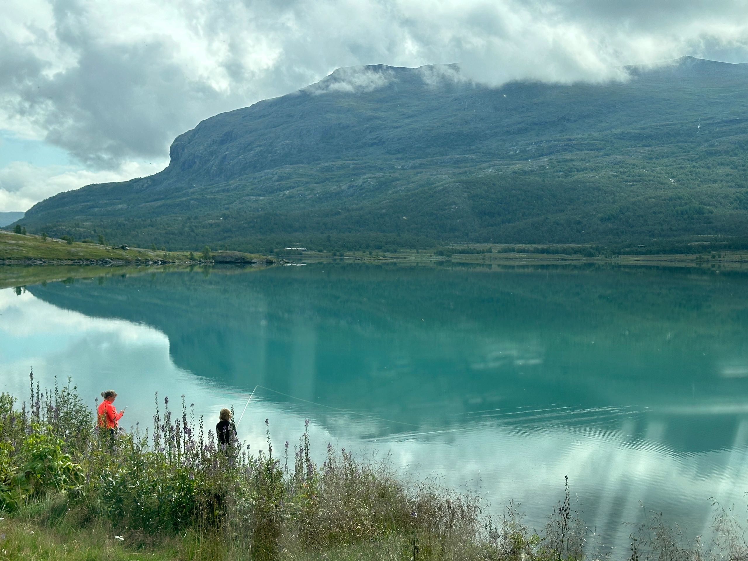 Norwegian fjord scene