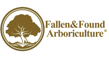 Fallen&Found Arboriculture Ltd