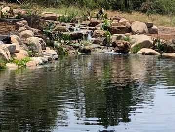 Natural swimming pond with wetland filter waterfalls