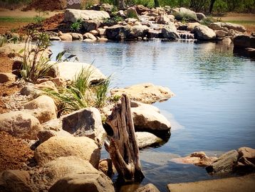  Natural swimming pond San saba texas